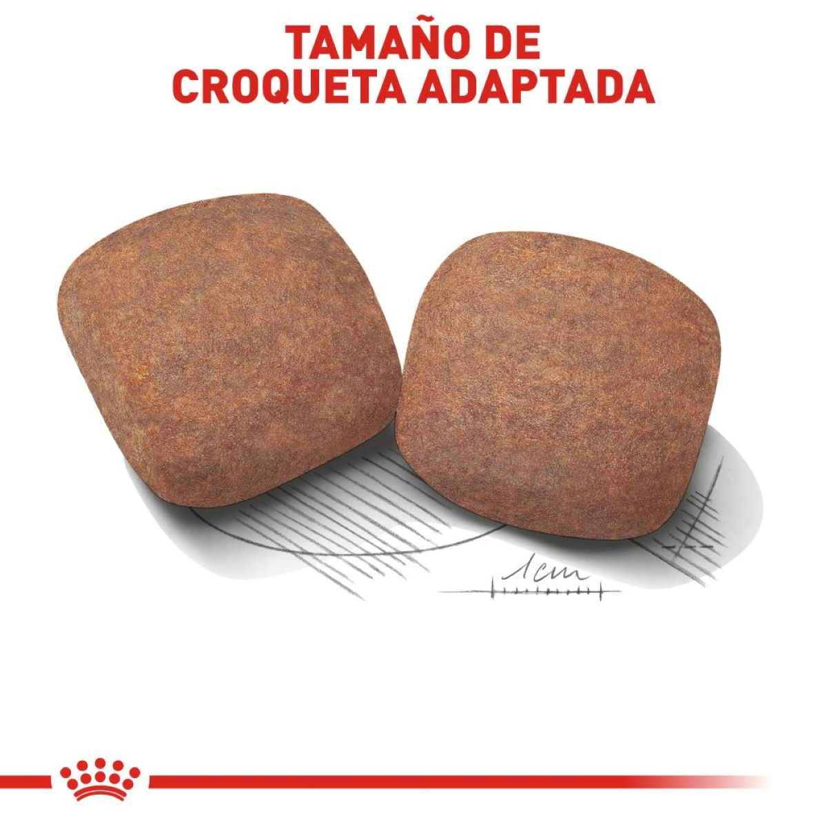 Royal Canin Giant Adult, Alimento para Perro, perro, Royal Canin, Mister Mascotas Royal Canin Giant Adult, Alimento para Perro, perro, Royal Canin, Mister Mascotas